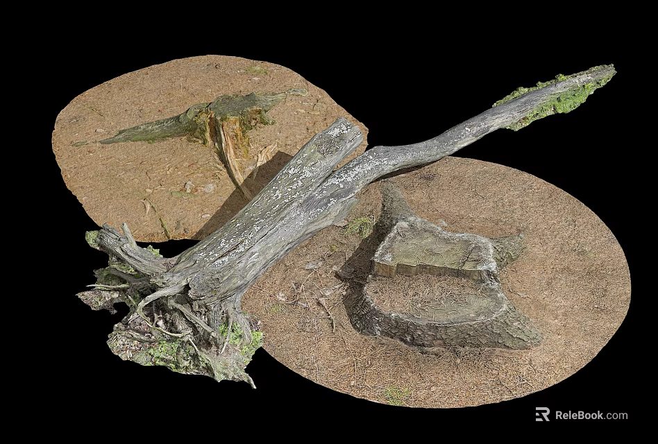 Rustic Wooden Log and Textured Stones in Natural Earthy Setting with Moss 3d model 