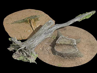Rustic Wooden Log and Textured Stones in Natural Earthy Setting with Moss 3d model