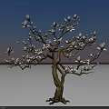 White Flowering Arbor With Brown Trunk And Blue Sky Background Shadow 3d model