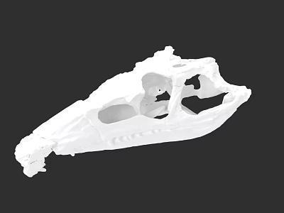 Reptile Skeleton 3D Model Displaying Detailed Anatomical Structure In White 3d model