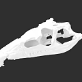 Reptile Skeleton 3D Model Displaying Detailed Anatomical Structure In White 3d model