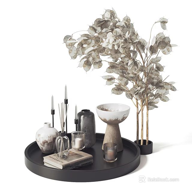 Stylish Decorative Ornament Set With Black Tray Vases Candles Books And Eucalyptus Plant 3d model 