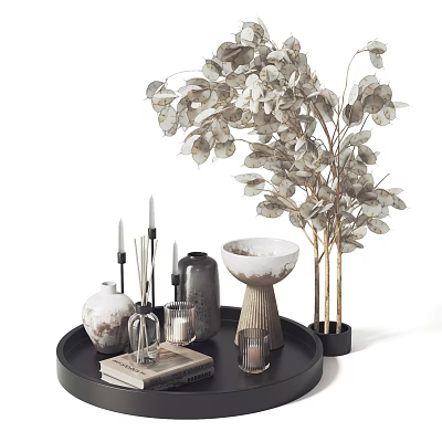 Stylish Decorative Ornament Set With Black Tray Vases Candles Books And Eucalyptus Plant 3d model