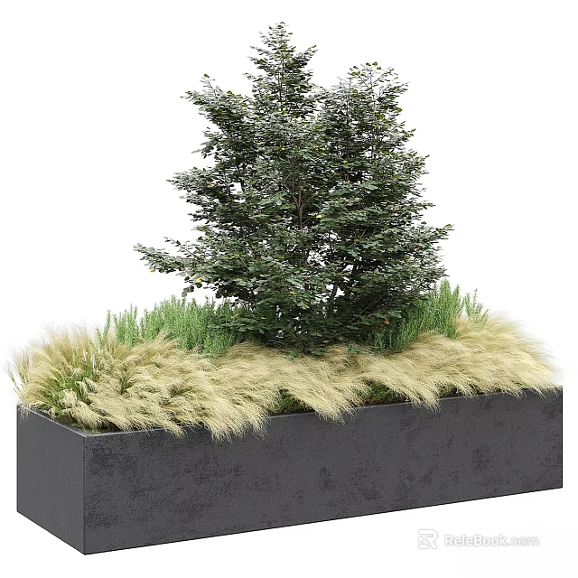 Ornamental Decoration Combination with Green Tree and Grass in Black Rectangular Planter Box 3d model