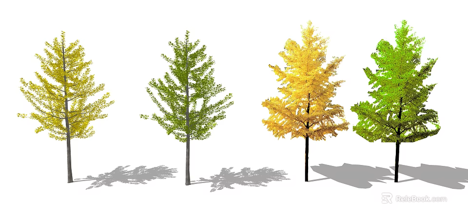 Arbor Trees with Colorful Seasonal Foliage Arranged in a Row and Shadows 3d model 