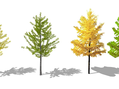 Arbor Trees with Colorful Seasonal Foliage Arranged in a Row and Shadows 3d model