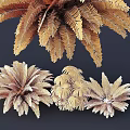 Different Types Of Shrubs With Lush Green Leaves For Garden Landscaping