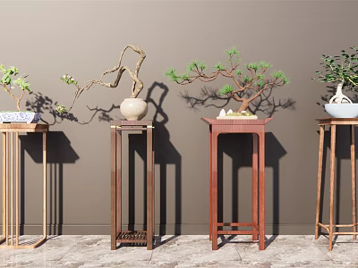 Four Wooden Plant Stands With Bonsai And Decorative Plants Against Gray Wall 3d model