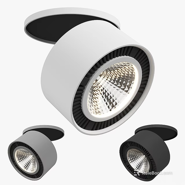 Modern Minimalist Ceiling Lights With Round Shape Black White Finish And LED Glow 3d model 