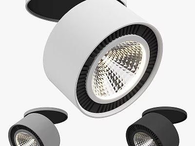 Modern Minimalist Ceiling Lights With Round Shape Black White Finish And LED Glow 3d model