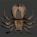 Realistic 3D Rendered Spider With Brown Copper Body And Long Legs