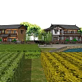 Traditional Chinese Style Houses With Trees River And Yellow Green Farmland In Rural Scene