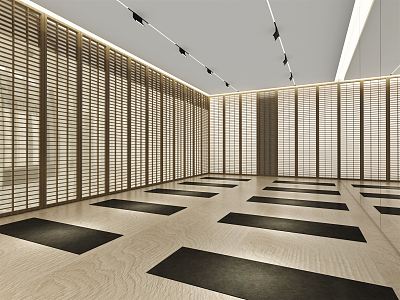 Modern Yoga Room 3d model