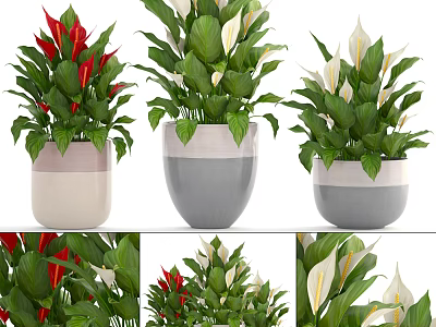 Decorative Potted Bonsai Plants With Red White Flowers Green Leaves In Gray White Pots 3d model