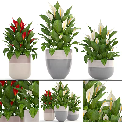 Decorative Potted Bonsai Plants With Red White Flowers Green Leaves In Gray White Pots 3d model