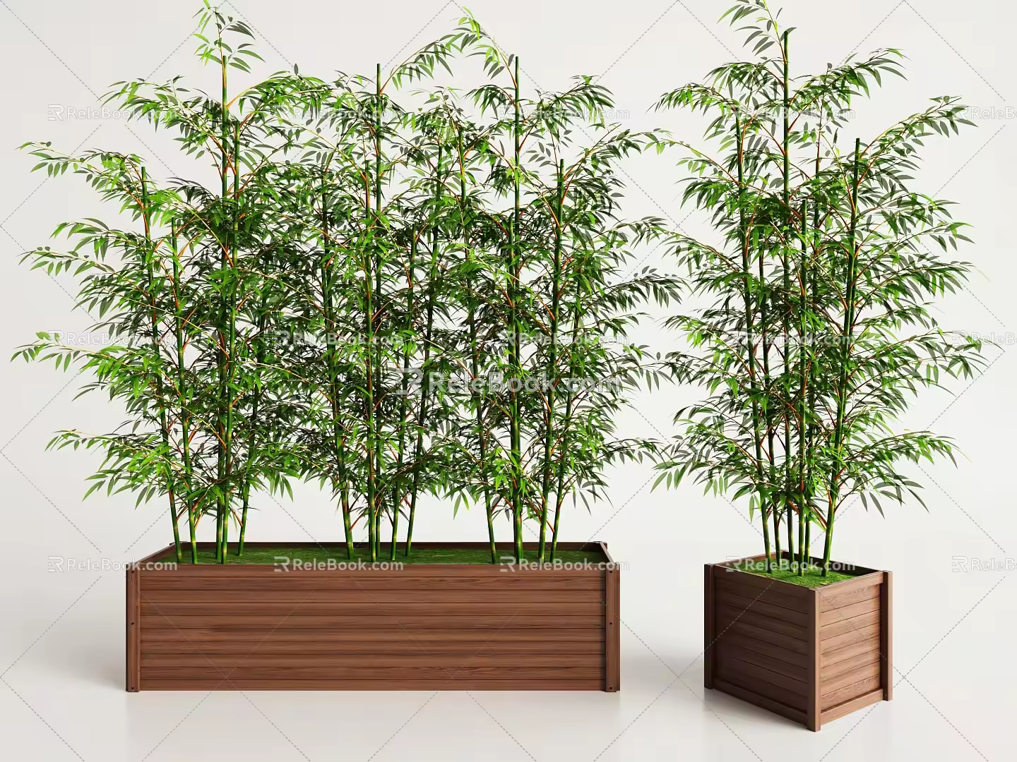 Modern bamboo 3d model