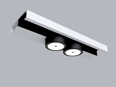 Modern Downlights With Sleek Black Housing Ceiling Mounted Fixture Design 3d model
