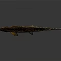 Spotted Fish With Brown And Black Patterns On Slender Body And Fins