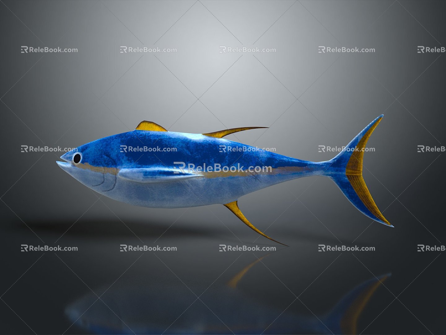 Fish Freshwater Fish Sea Fish Animal Game Animal Cartoon Animal Realistic Animal 3d model