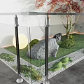 Glass Fence in Courtyard With Grass Lawn Large Rock Small Tree Moon Decoration And Pebbles