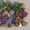 landscape stone foxtail asparagus alum root landscape plants 3d model