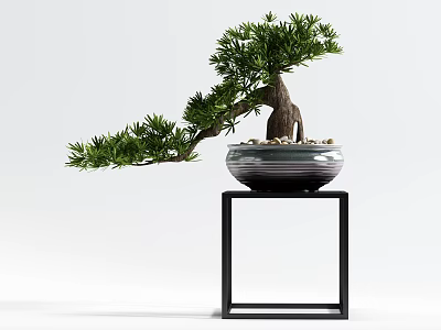 Bonsai Tree With Curved Trunk And Green Foliage In Black White Striped Pot On Stand 3d model