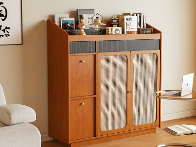 Wooden Storage Cabinet With Woven Doors And Decorative Items In Living Room 3d model