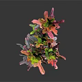 Colorful Decorative Plant Sculpture With Vibrant Multicolored Leaves And Branch Design
