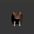 Brown Fur Rat With Pink Ears And Pink Tail Standing On Dark Background
