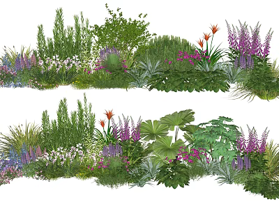 Diverse Colorful Plant Combinations With Herbs Flowers Ferns And Varied Leaf Shapes For Garden Landscaping 3d model