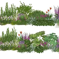 Diverse Colorful Plant Combinations With Herbs Flowers Ferns And Varied Leaf Shapes For Garden Landscaping