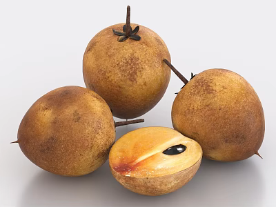 Fresh Ripe Sapodilla Fruits Whole And Sliced With Brown Skin Orange Flesh Black Seeds 3d model