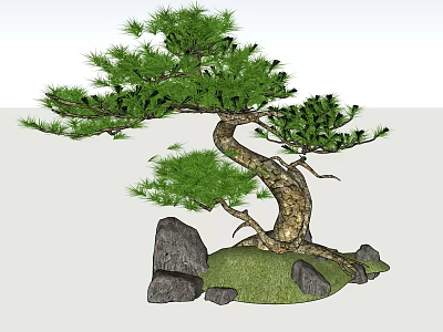 Artistic Arbor With Curved Trunk Green Foliage Surrounding Rocks And Grass Patch 3d model