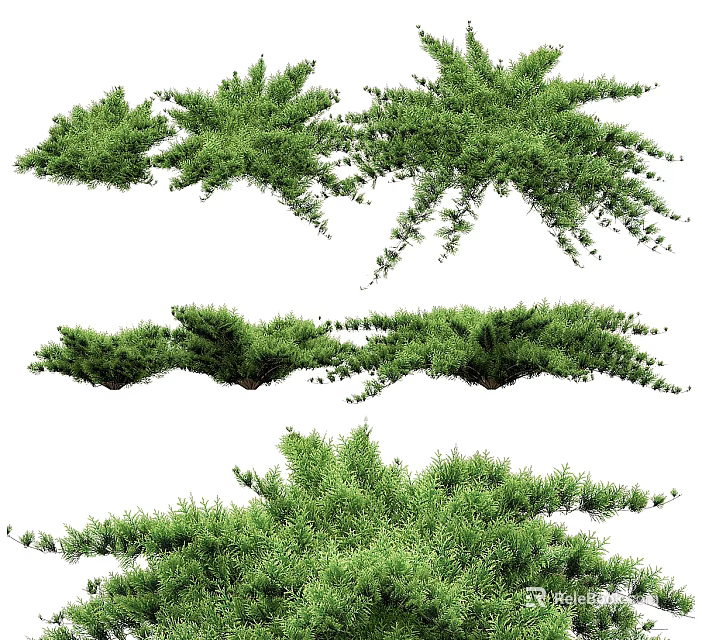 Lush Green Plants With Various Growth Forms And Dense Foliage For Garden Decor 3d model 