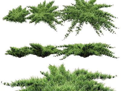 Lush Green Plants With Various Growth Forms And Dense Foliage For Garden Decor 3d model