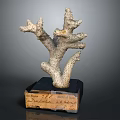 Aquatic Animals Themed Coral Sculpture Placed on Wooden Box with Inscriptions