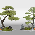 Bonsai Arbor Trees with Pine Foliage Stones Moss and Pebbles 3d model