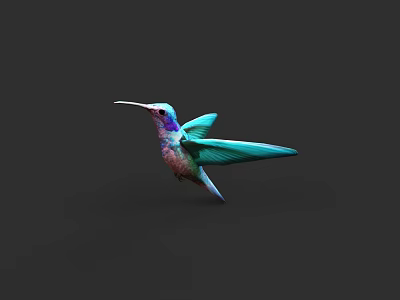 Vibrant Hummingbird With Turquoise Wings Purple Head Flying On Dark Background 3d model
