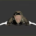 Crocodile With Open Mouth Brown Head And White Body In Dark Background