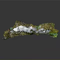 Small Lizard Resting On Moss Covered Rock With Green Lichens