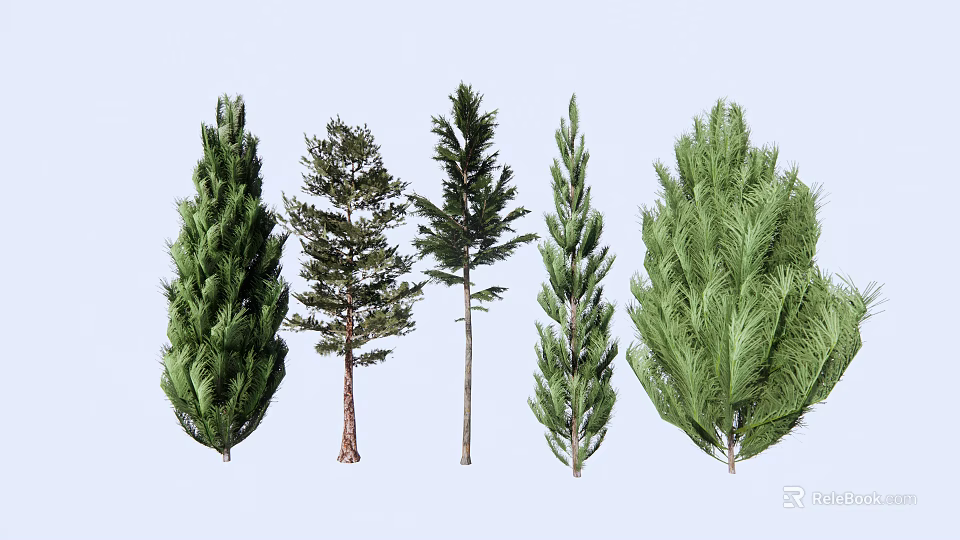 Various Types of Arbor Trees with Diverse Foliage and Crown Shapes 3d model 