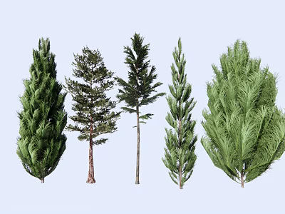Various Types of Arbor Trees with Diverse Foliage and Crown Shapes 3d model