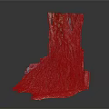 3D Organ Structure Model With Natural Hair Texture and Color Details