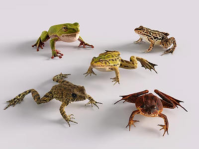 Various Reptile Species Displaying Diverse Colors And Postures On White Background 3d model