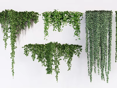 Different Types of Hanging Basket Plants With Lush Green Leaves and Trailing Vines 3d model