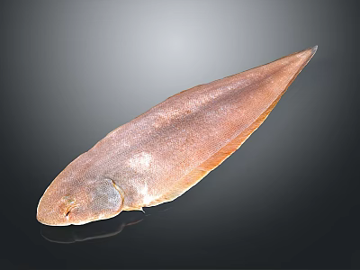 Fresh Whole Brown Fish With Shiny Surface On Black Background 3d model