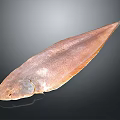 Fresh Whole Brown Fish With Shiny Surface On Black Background