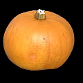 Single Ripe Fresh Orange Pumpkin Vegetable Isolated On Black Background