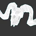 Detailed Ram Skull With Large Curved Horns And Natural Bone Structure