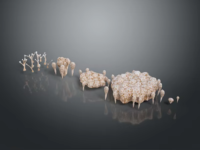 Animal Bones of Various Sizes with Porous Surfaces Arranged on Gray Background 3d model